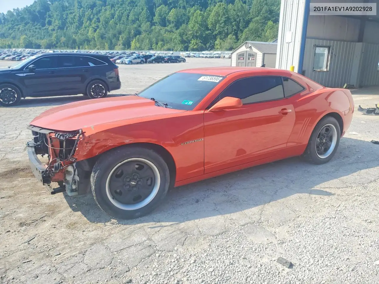 2010 Chevrolet Camaro Ls VIN: 2G1FA1EV1A9202928 Lot: 61736596