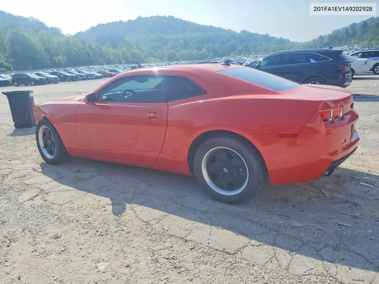 2010 Chevrolet Camaro Ls VIN: 2G1FA1EV1A9202928 Lot: 61736596