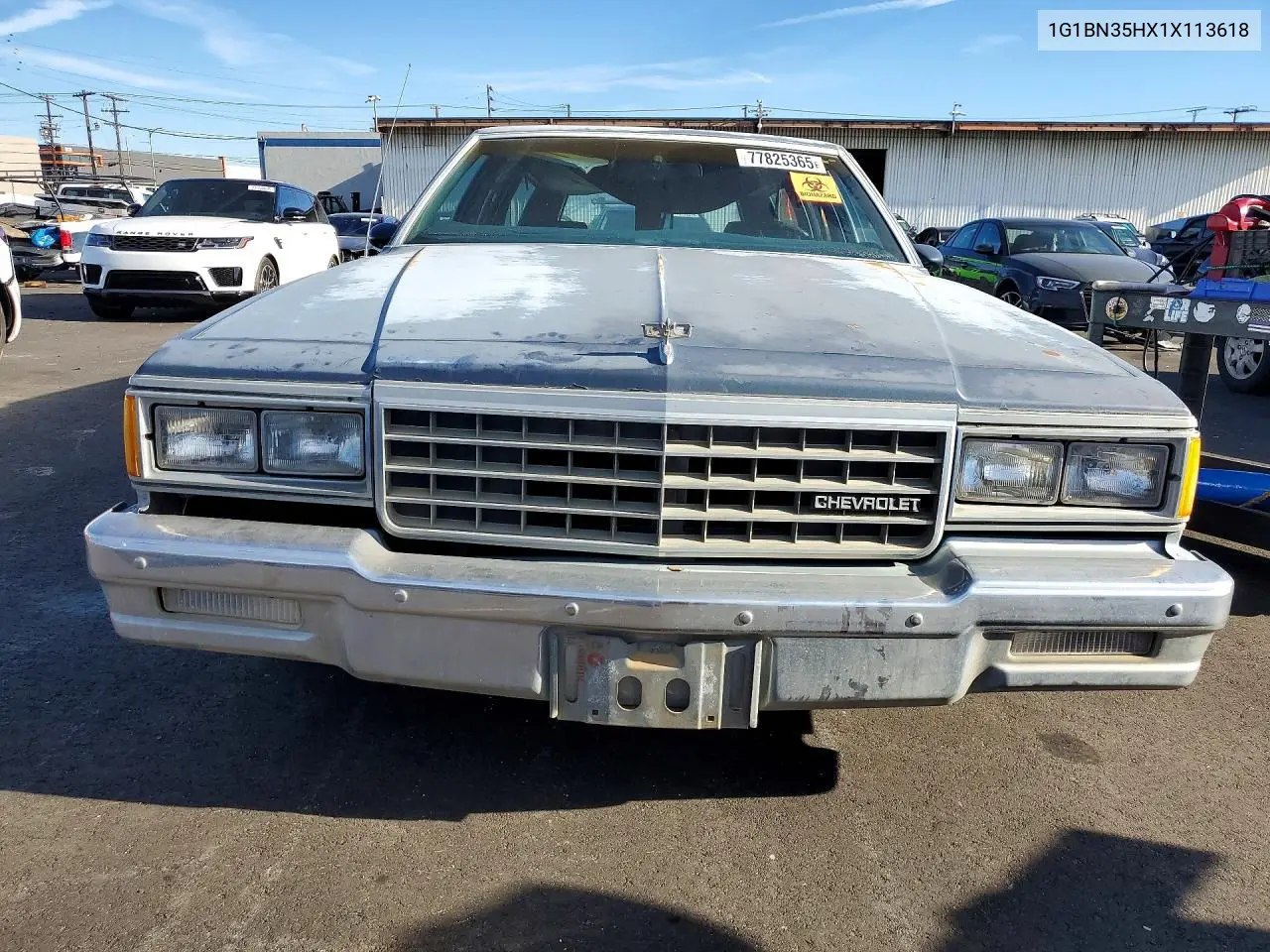 1985 Chevrolet Caprice VIN: 1G1BN35HXFX113618 Lot: 77825365