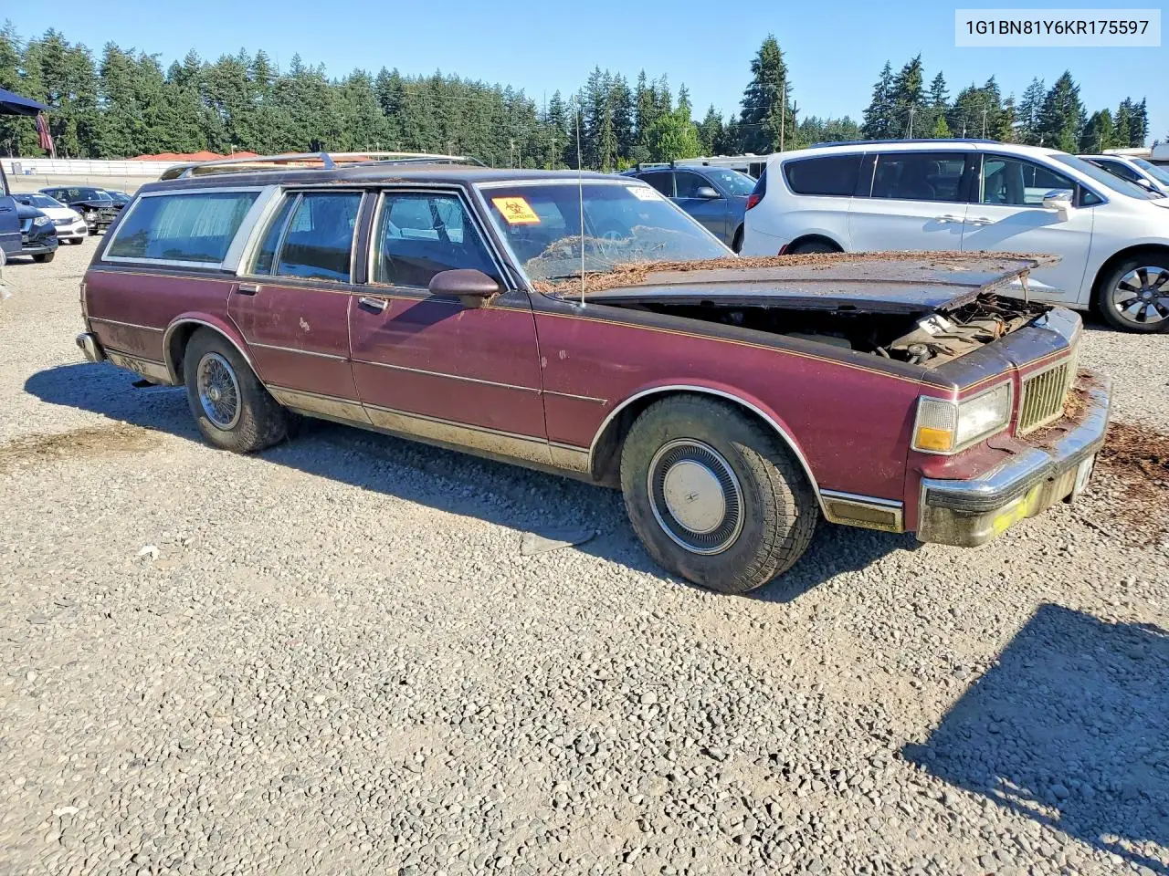 1989 Chevrolet Caprice Classic VIN: 1G1BN81Y6KR175597 Lot: 61031556