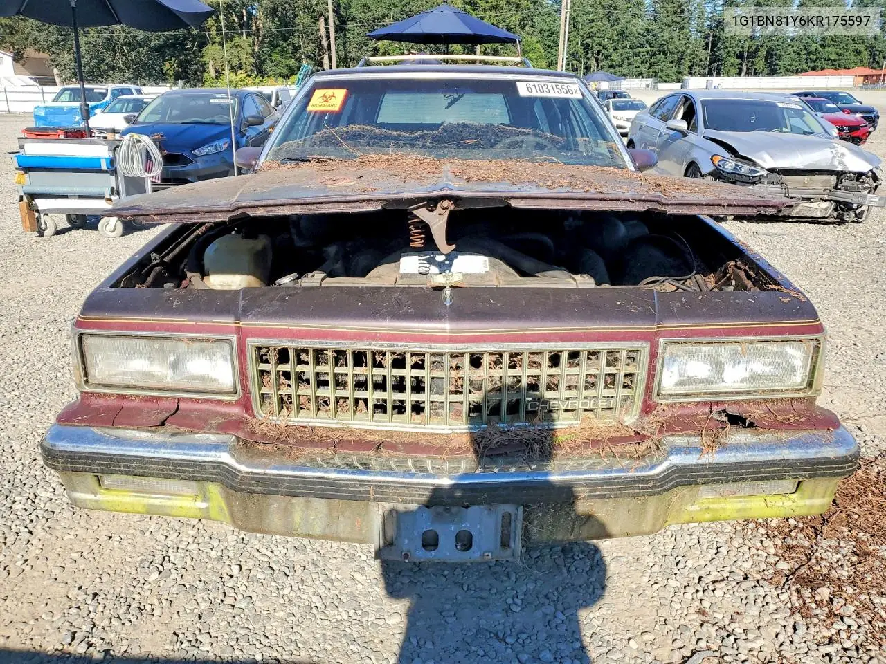 1989 Chevrolet Caprice Classic VIN: 1G1BN81Y6KR175597 Lot: 61031556