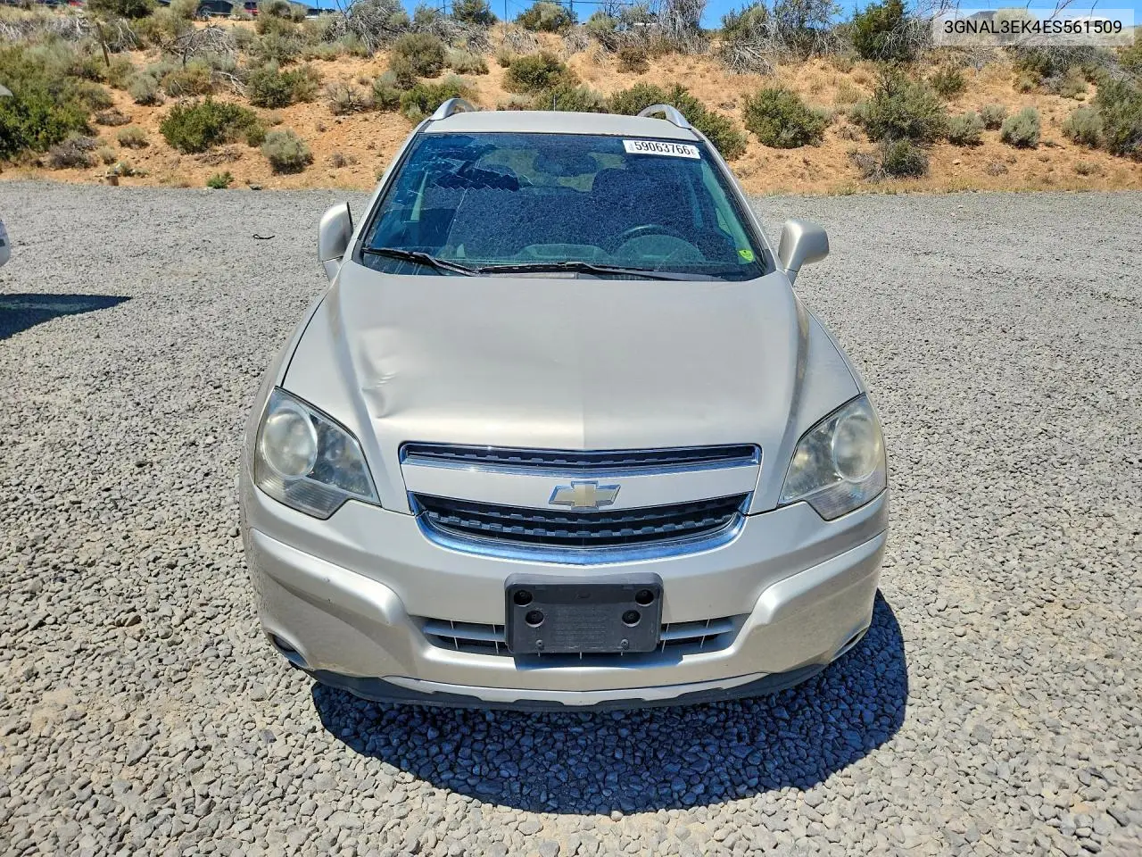 2014 Chevrolet Captiva Lt VIN: 3GNAL3EK4ES561509 Lot: 59063766