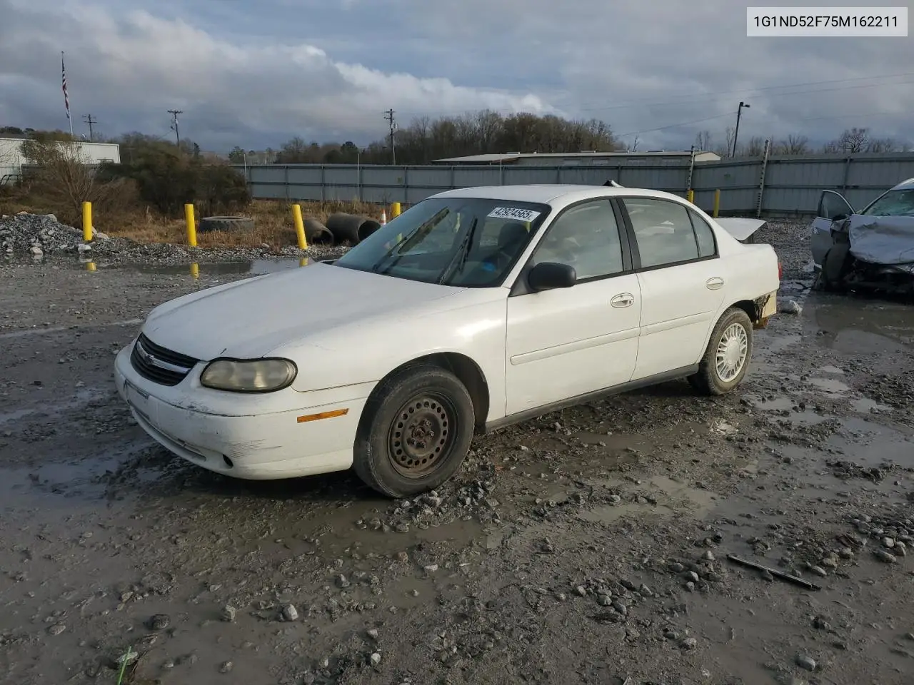 2005 Chevrolet Classic VIN: 1G1ND52F75M162211 Lot: 86470715