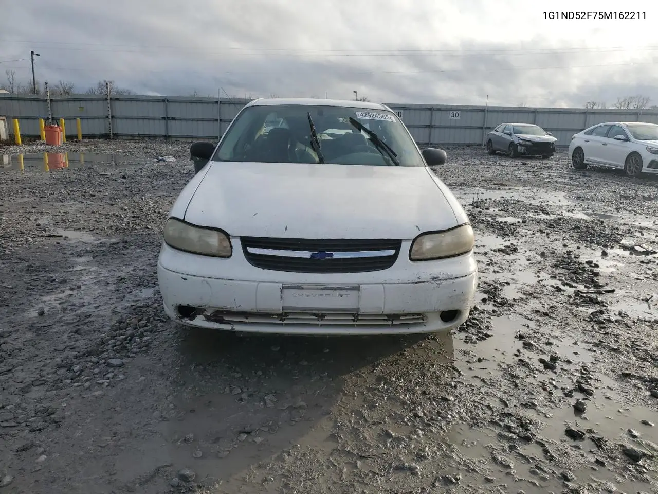 2005 Chevrolet Classic VIN: 1G1ND52F75M162211 Lot: 86470715