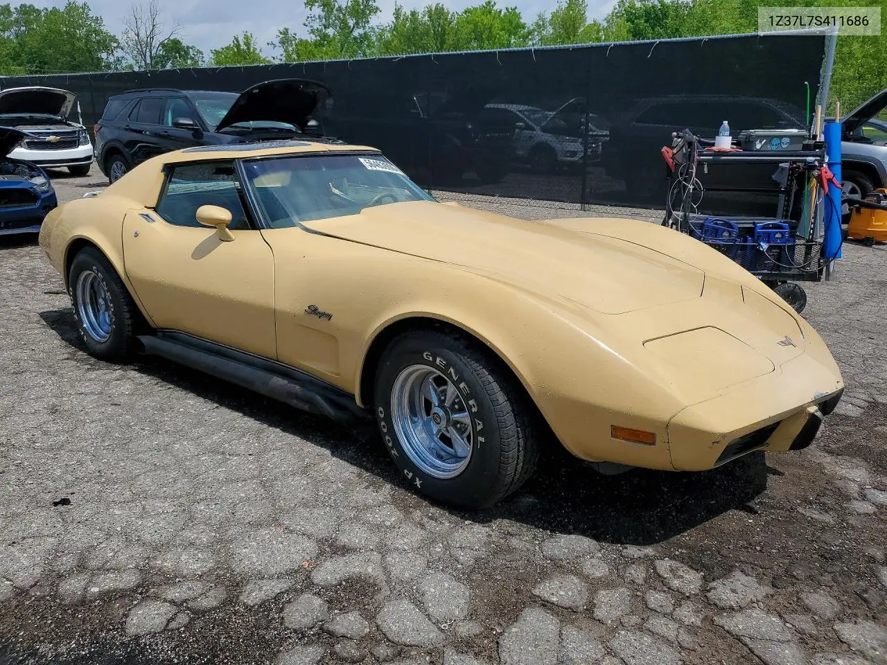 C3