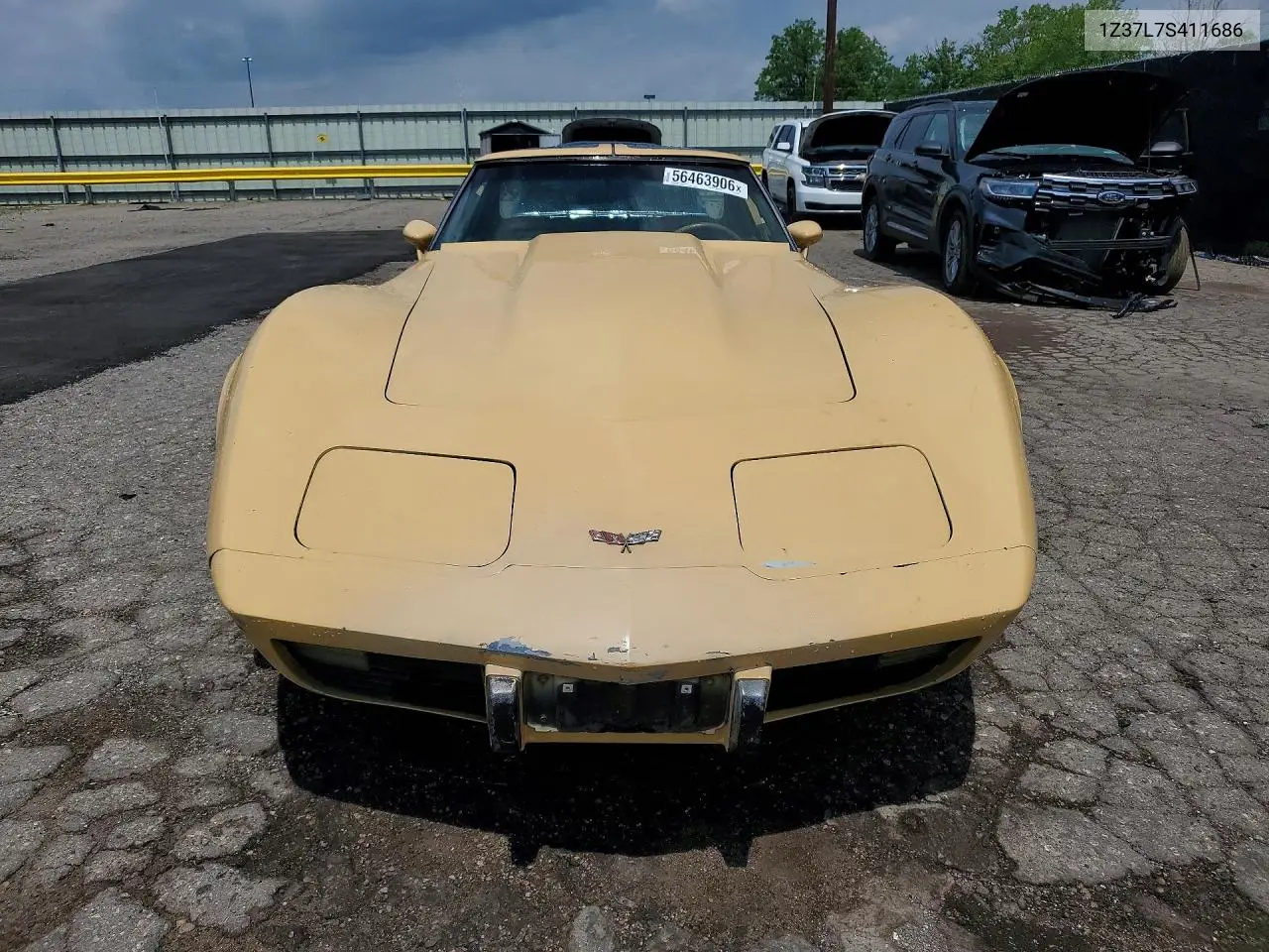 C3