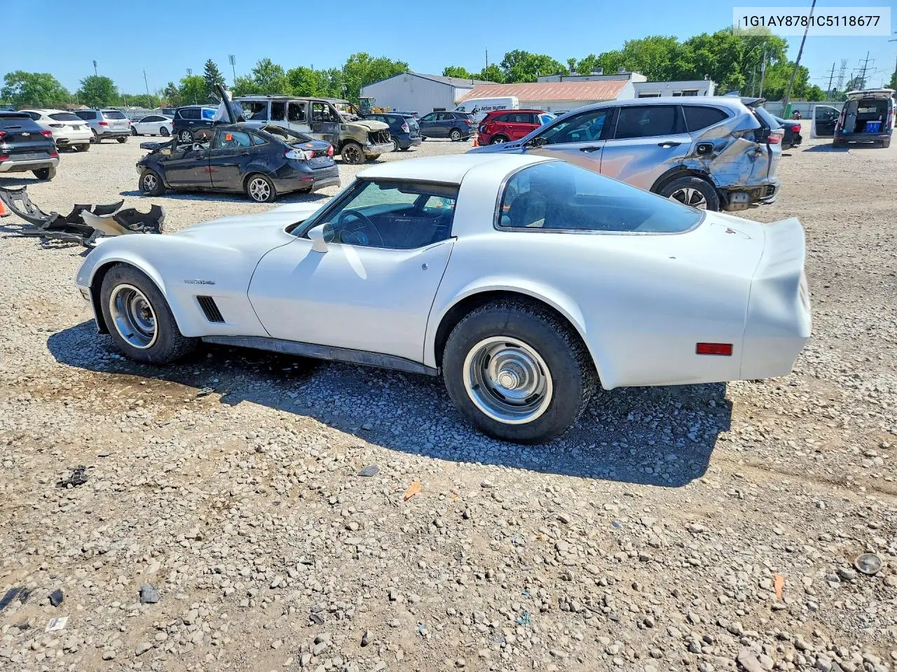 1982 Chevrolet Corvette VIN: 1G1AY8781C5118677 Lot: 55768176