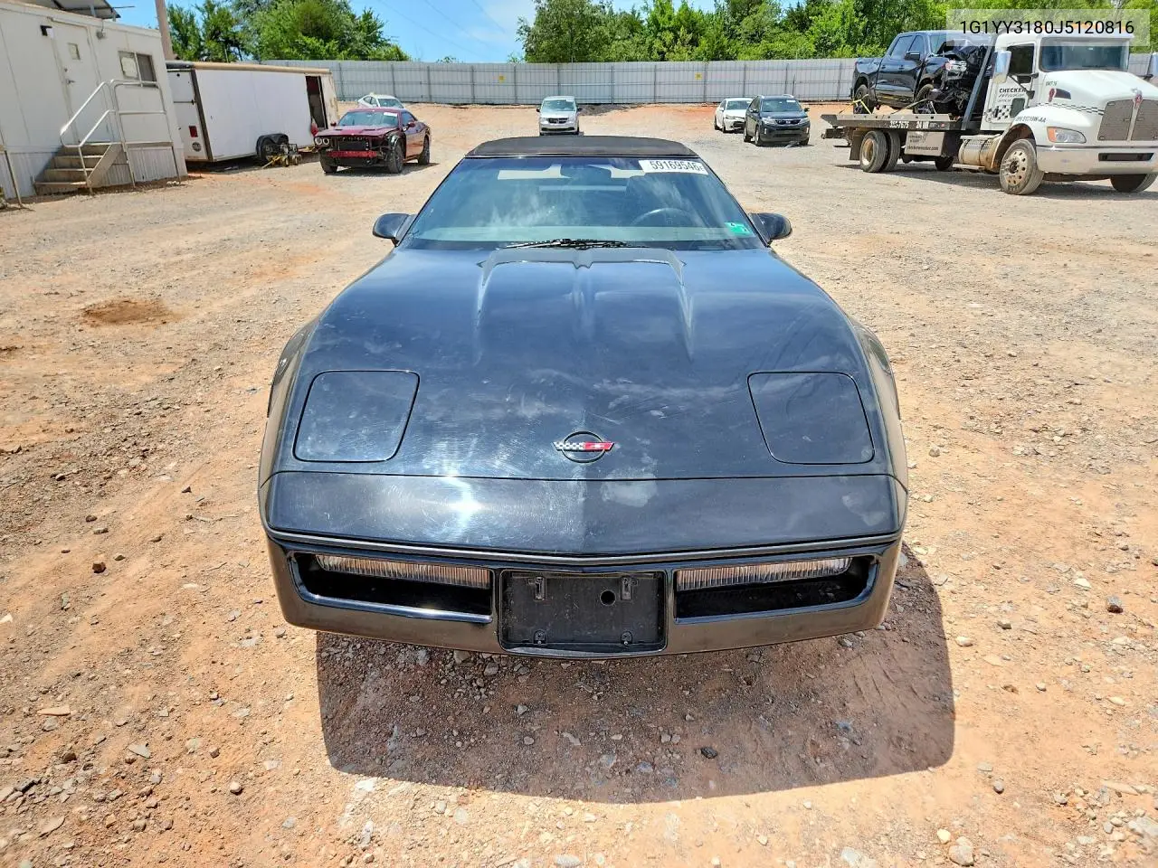 1988 Chevrolet Corvette VIN: 1G1YY3180J5120816 Lot: 59169546