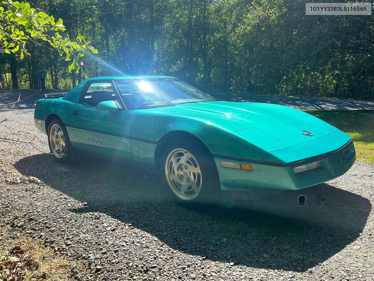 1990 Chevrolet Corvette VIN: 1G1YY3383L5116565 Lot: 54163926