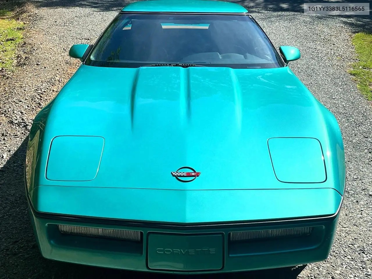 1990 Chevrolet Corvette VIN: 1G1YY3383L5116565 Lot: 54163926