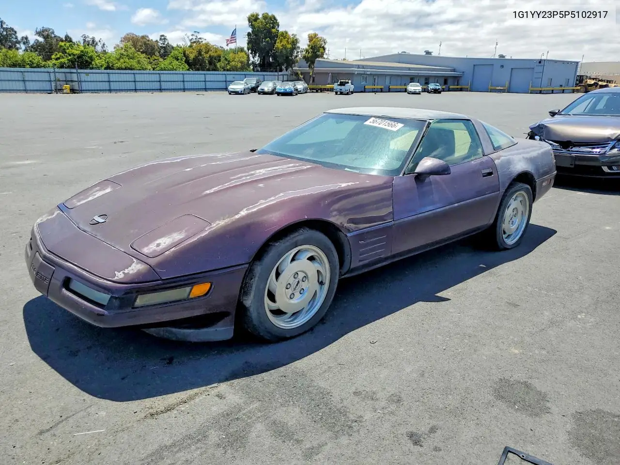 1993 Chev Corvette VIN: 1G1YY23P5P5102917 Lot: 56701566