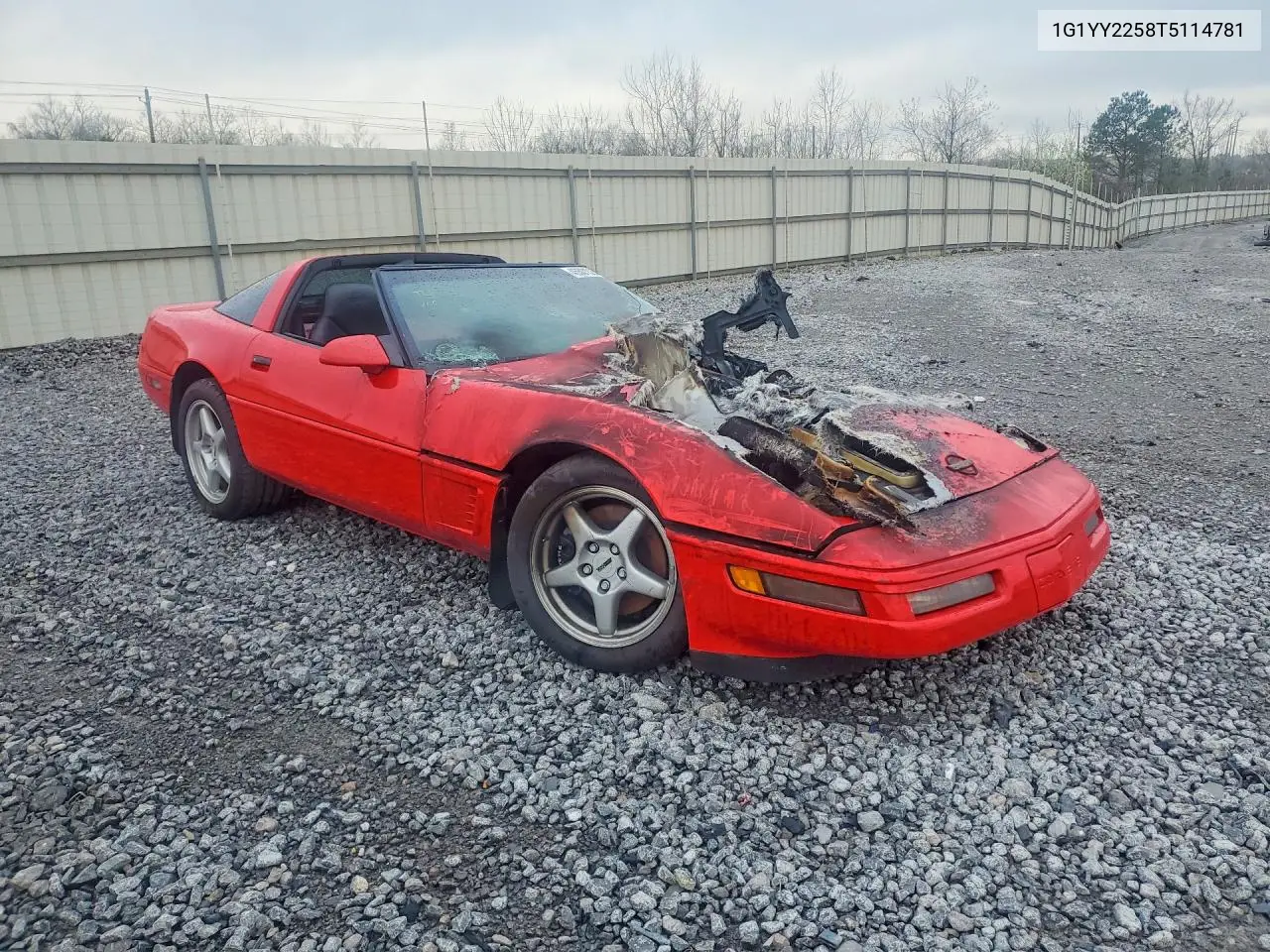1996 Chevrolet Corvette VIN: 1G1YY2258T5114781 Lot: 45501086
