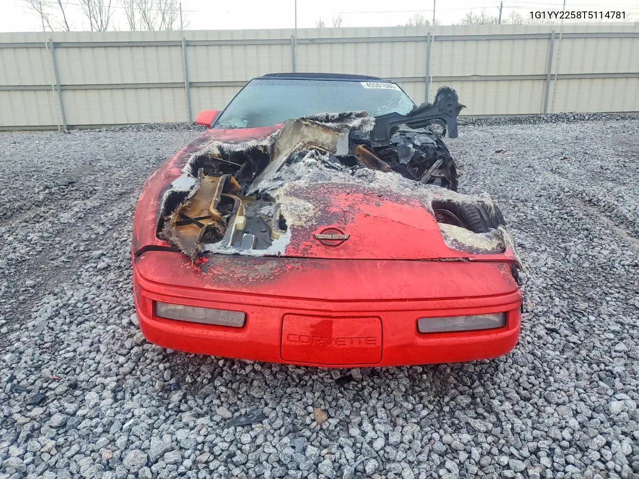 1996 Chevrolet Corvette VIN: 1G1YY2258T5114781 Lot: 45501086