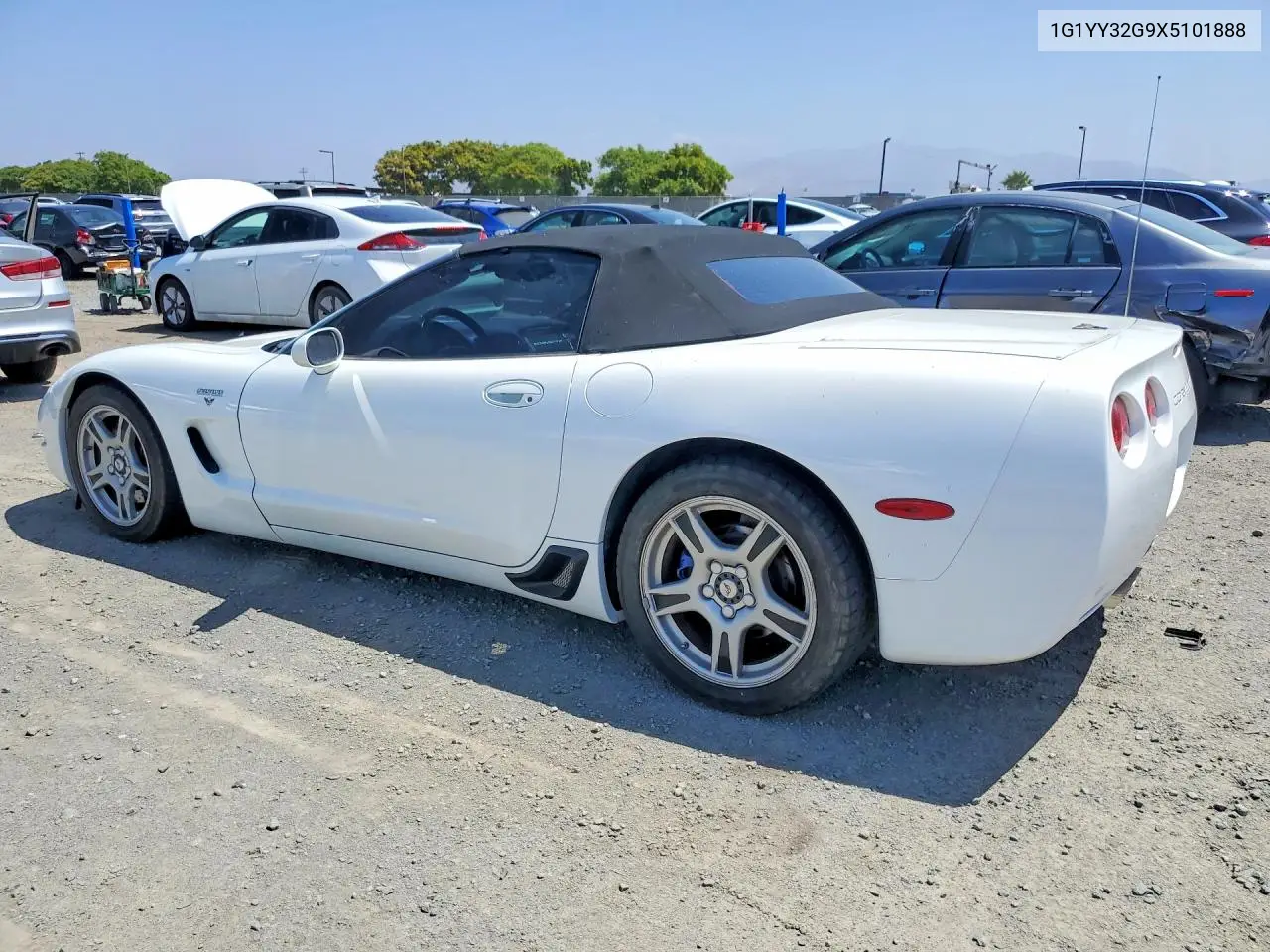 C5