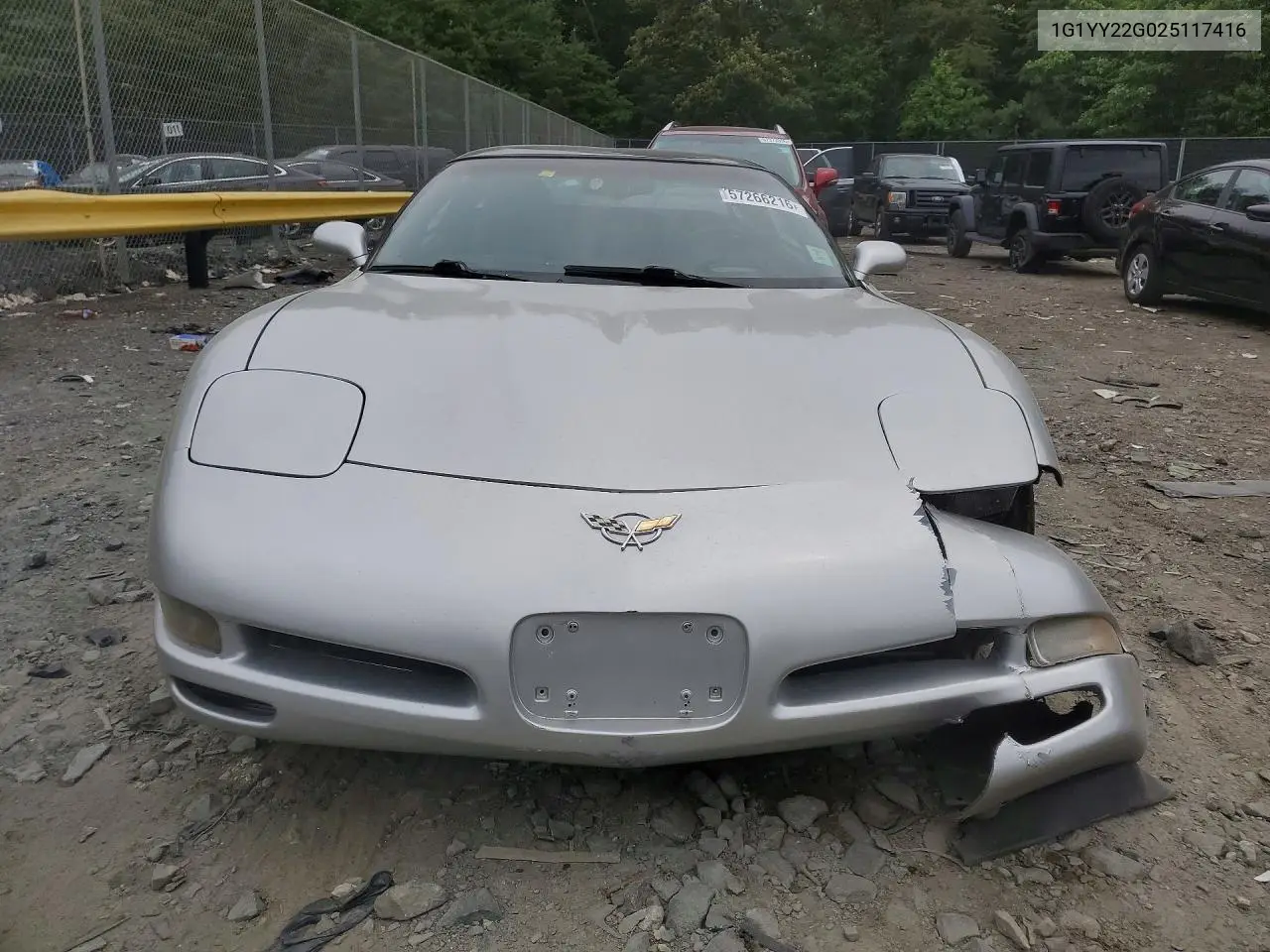2002 Chevrolet Corvette VIN: 1G1YY22G025117416 Lot: 57266216