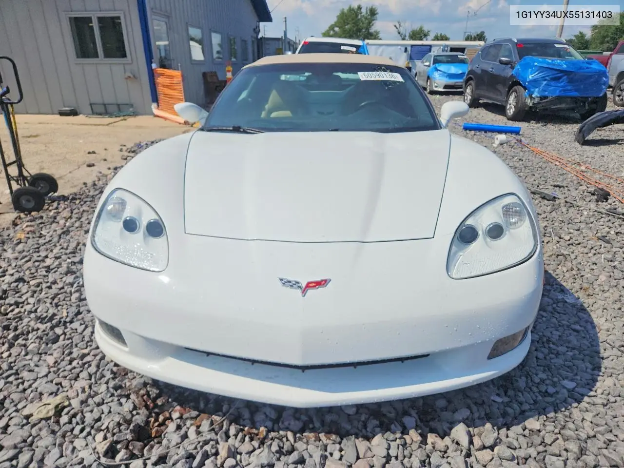 2005 Chevrolet Corvette VIN: 1G1YY34UX55131403 Lot: 60590136