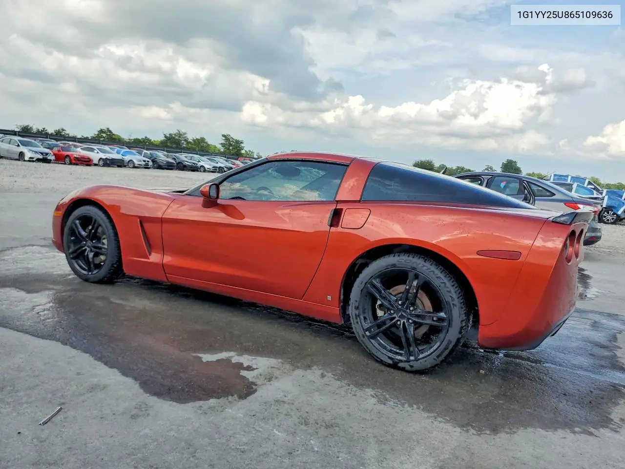 2006 Chevrolet Corvette VIN: 1G1YY25U865109636 Lot: 58276966