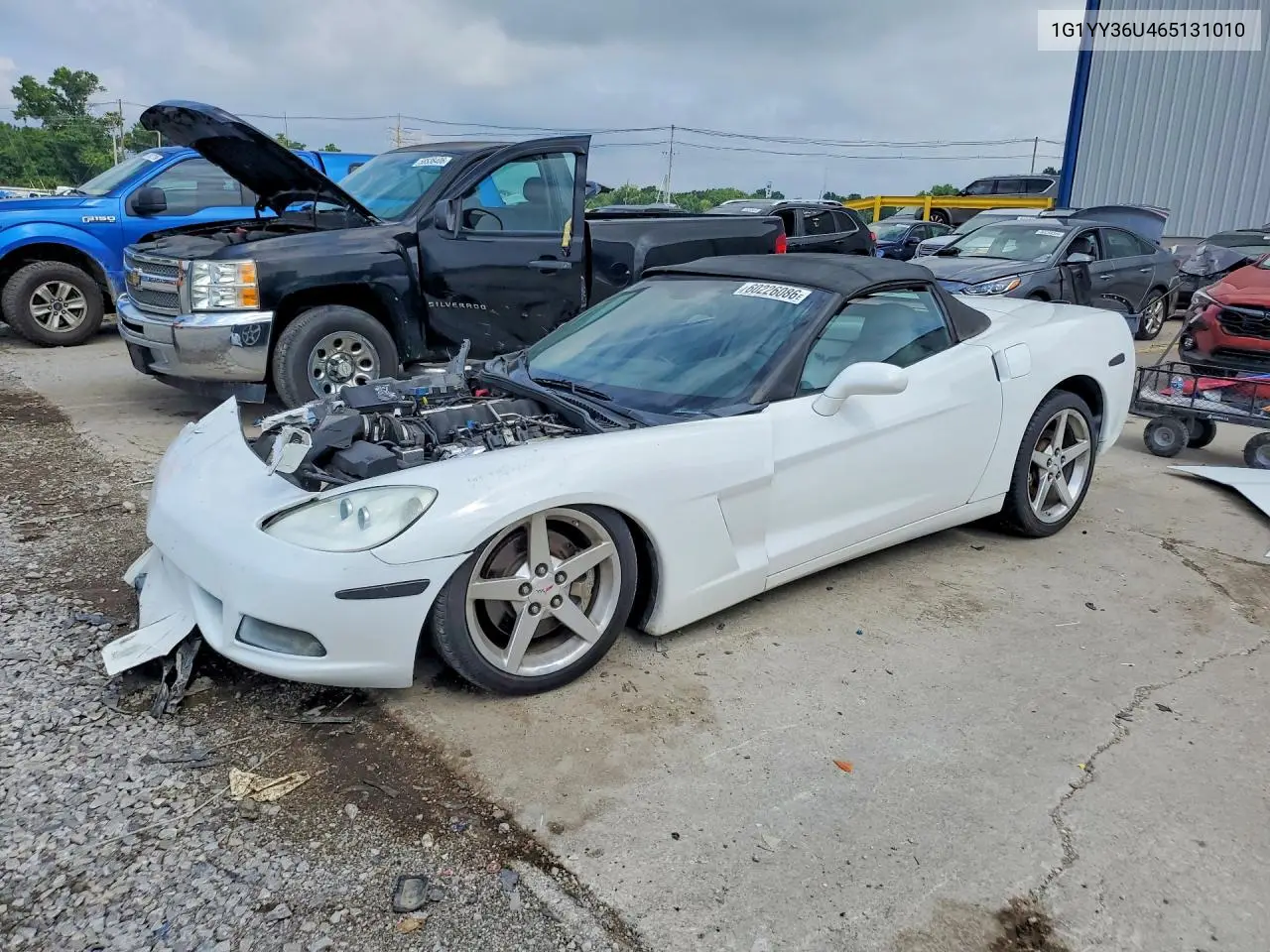 2006 Chevrolet Corvette VIN: 1G1YY36U465131010 Lot: 60226086