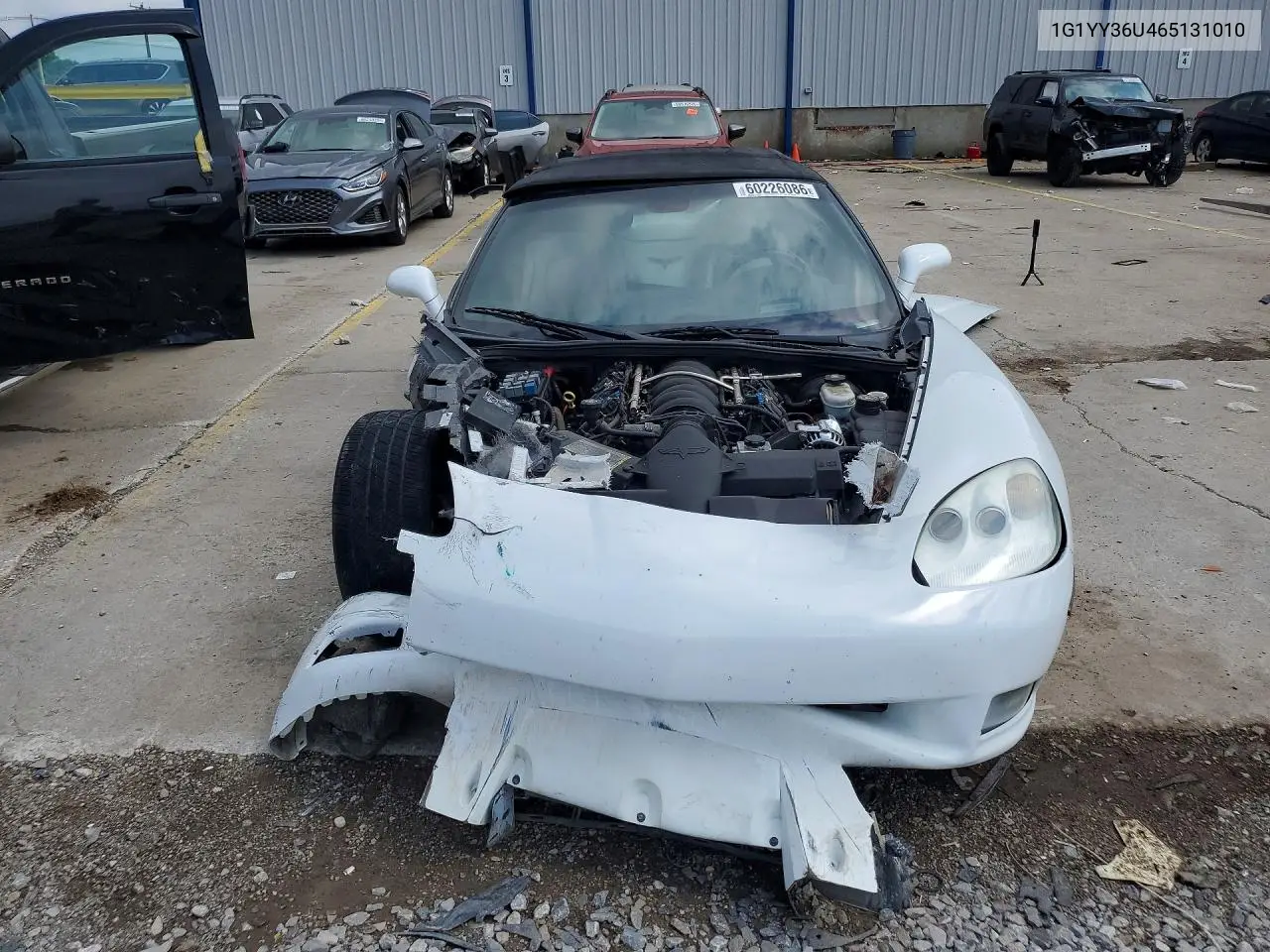 2006 Chevrolet Corvette VIN: 1G1YY36U465131010 Lot: 60226086