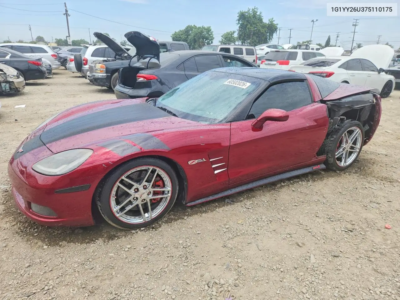 2007 Chevrolet Corvette VIN: 1G1YY26U375110175 Lot: 60502026