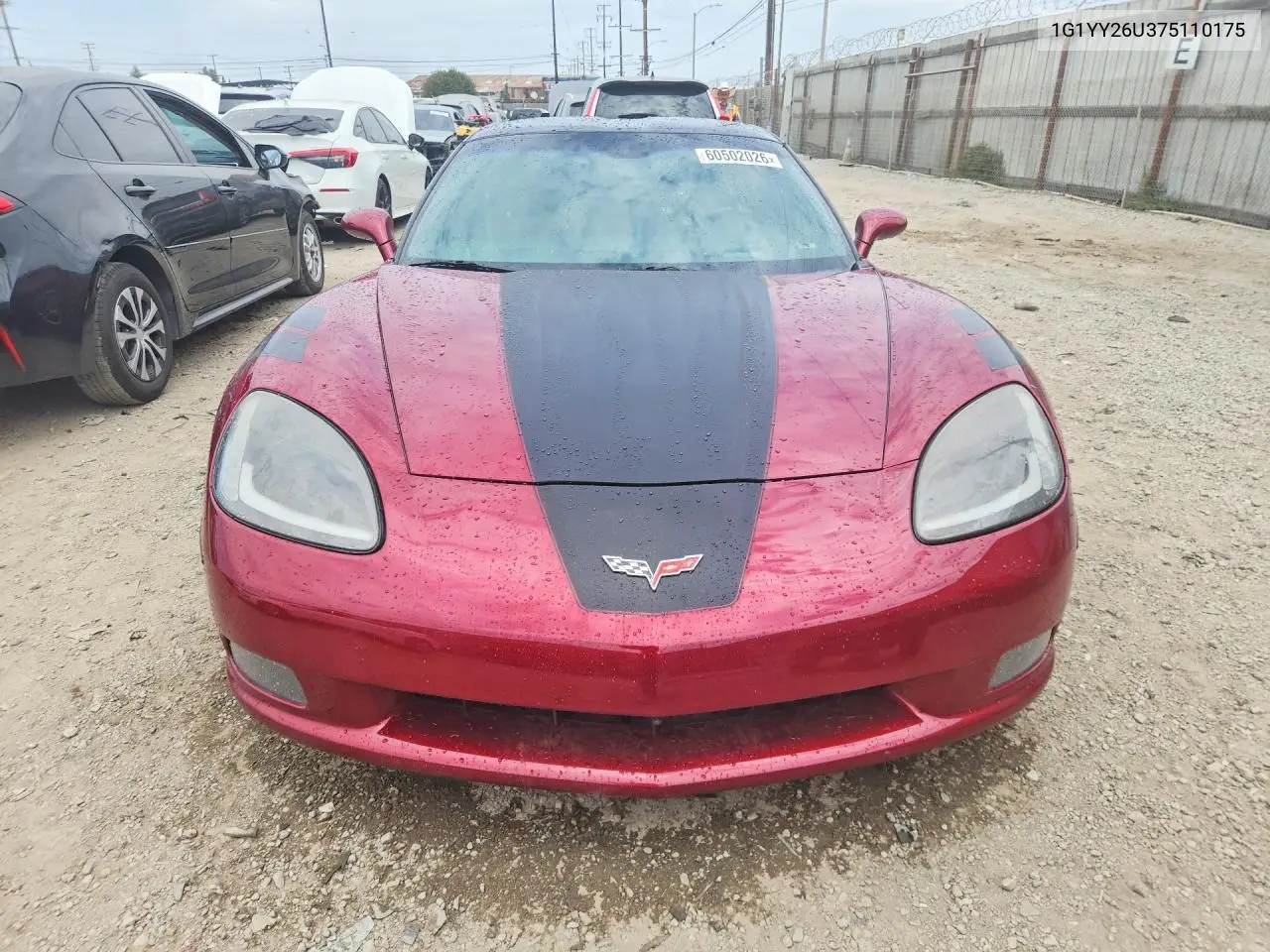 2007 Chevrolet Corvette VIN: 1G1YY26U375110175 Lot: 60502026