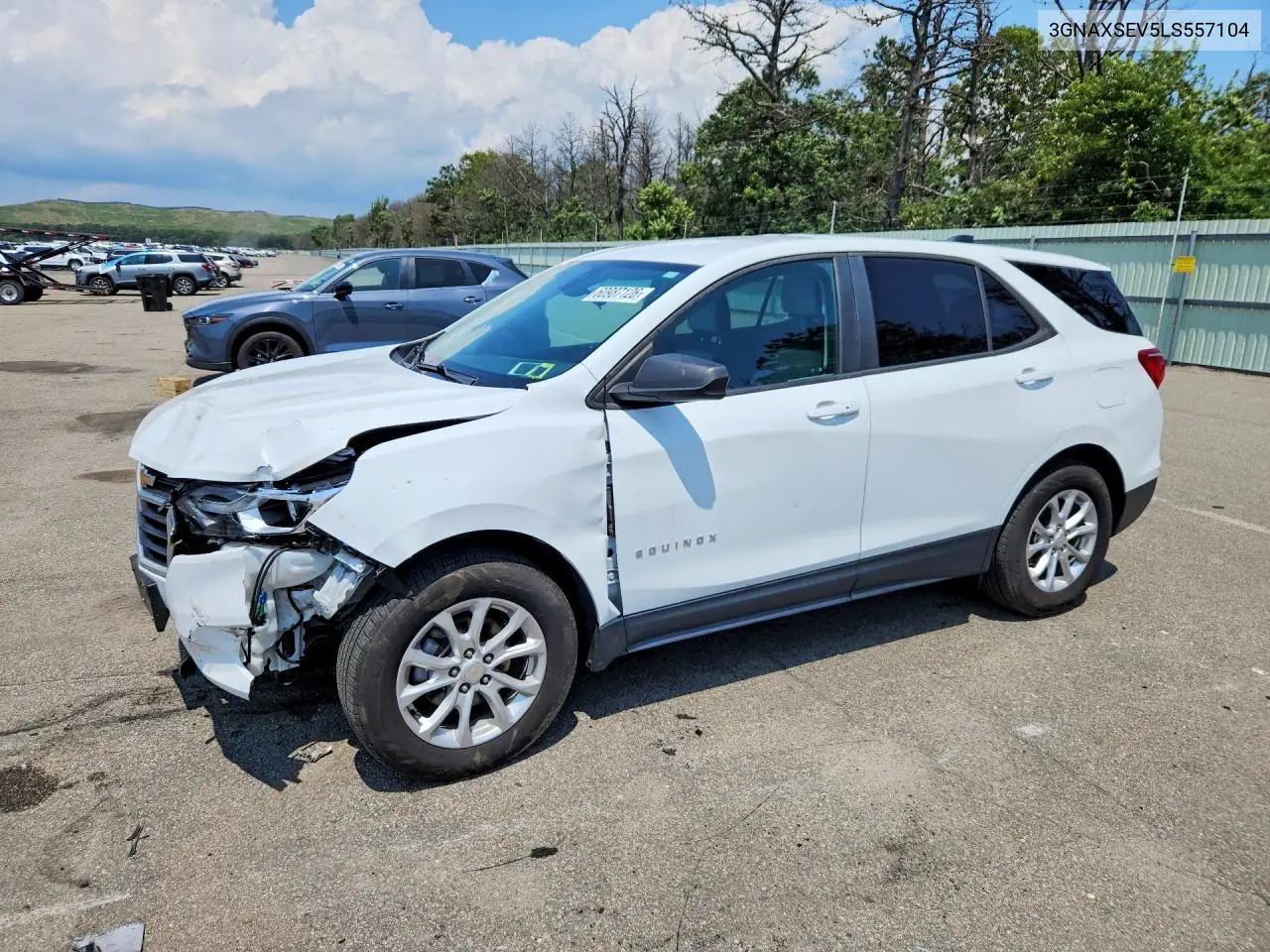 2020 Chevrolet Equinox Ls VIN: 3GNAXSEV5LS557104 Lot: 60987126