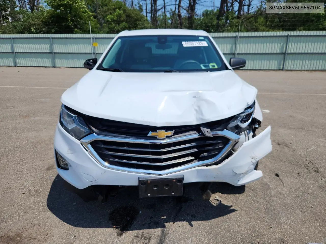 2020 Chevrolet Equinox Ls VIN: 3GNAXSEV5LS557104 Lot: 60987126
