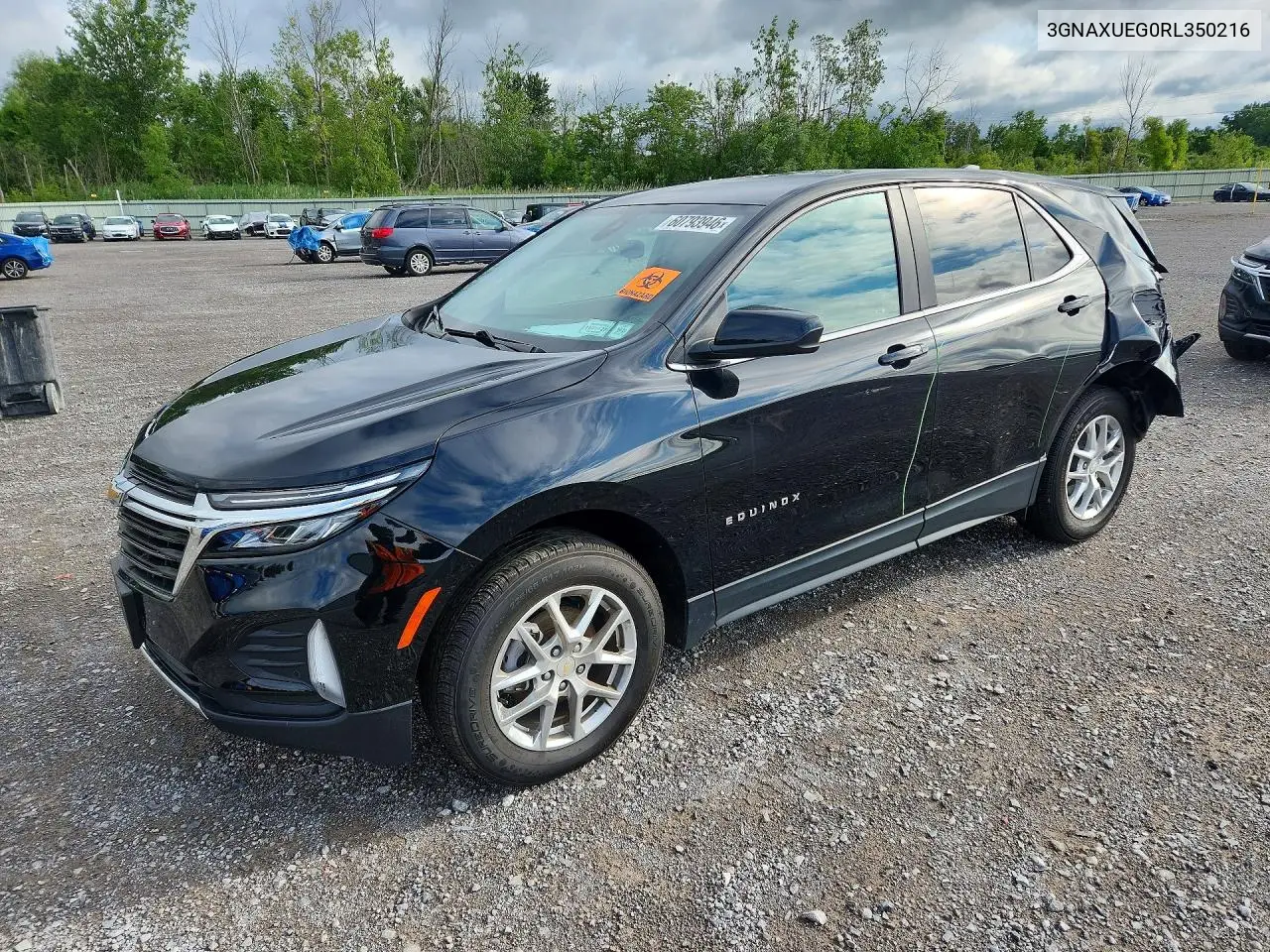2024 Chevrolet Equinox Lt VIN: 3GNAXUEG0RL350216 Lot: 60793946