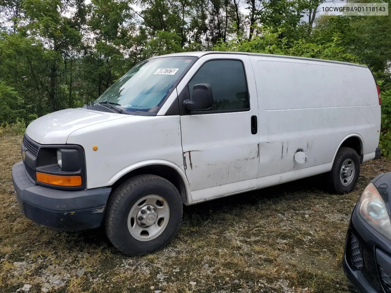 2013 Chevrolet Express G2500 VIN: 1GCWGFBA9D1118143 Lot: 66967375