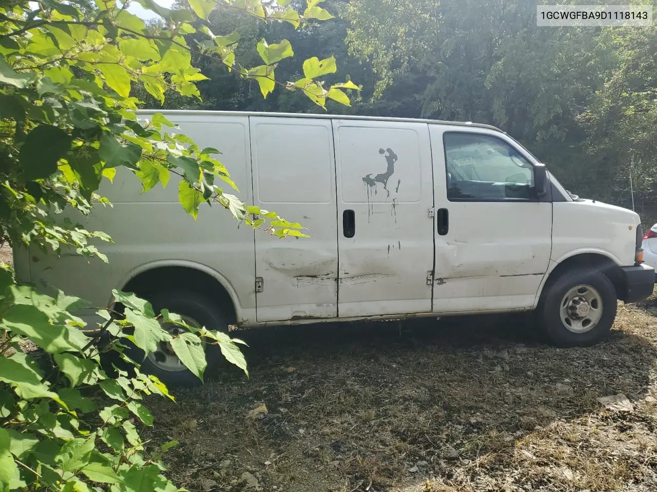 2013 Chevrolet Express G2500 VIN: 1GCWGFBA9D1118143 Lot: 66967375