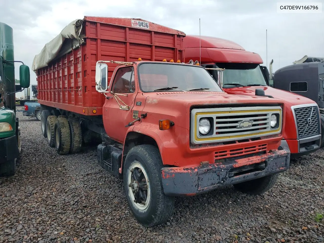 1979 Chevrolet Truck VIN: C47DE9V166796 Lot: 58578696