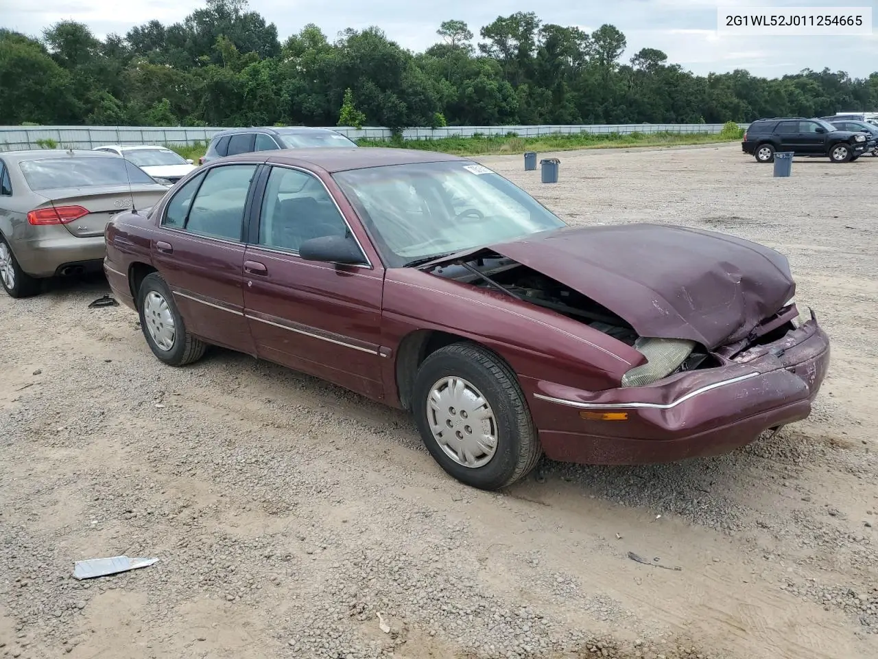 2001 Chevrolet Lumina VIN: 2G1WL52J011254665 Lot: 96814875