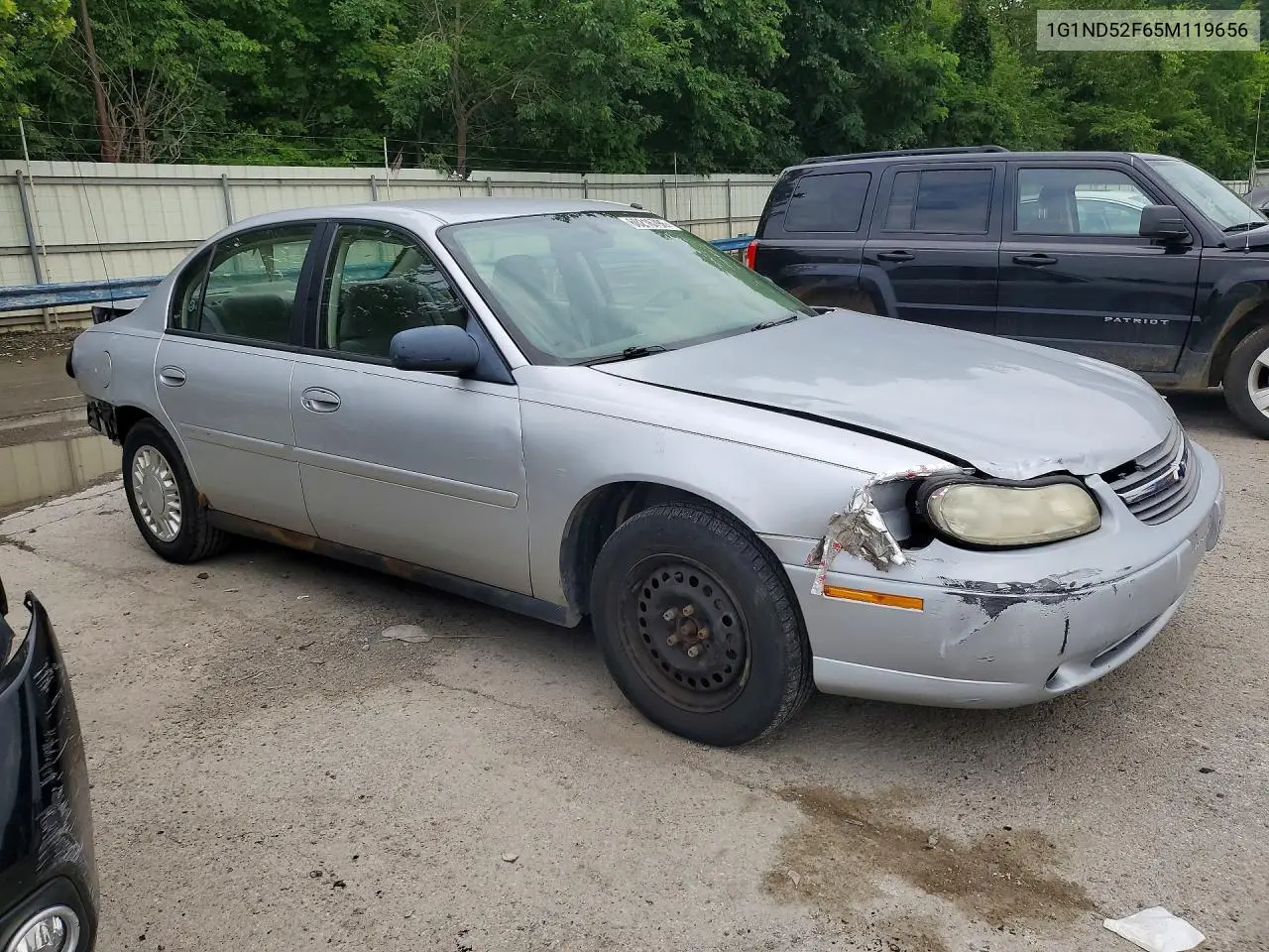 2005 Chevrolet Classic VIN: 1G1ND52F65M119656 Lot: 60216796