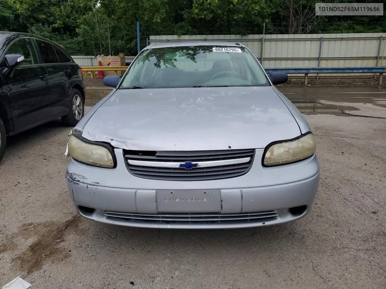 2005 Chevrolet Classic VIN: 1G1ND52F65M119656 Lot: 60216796