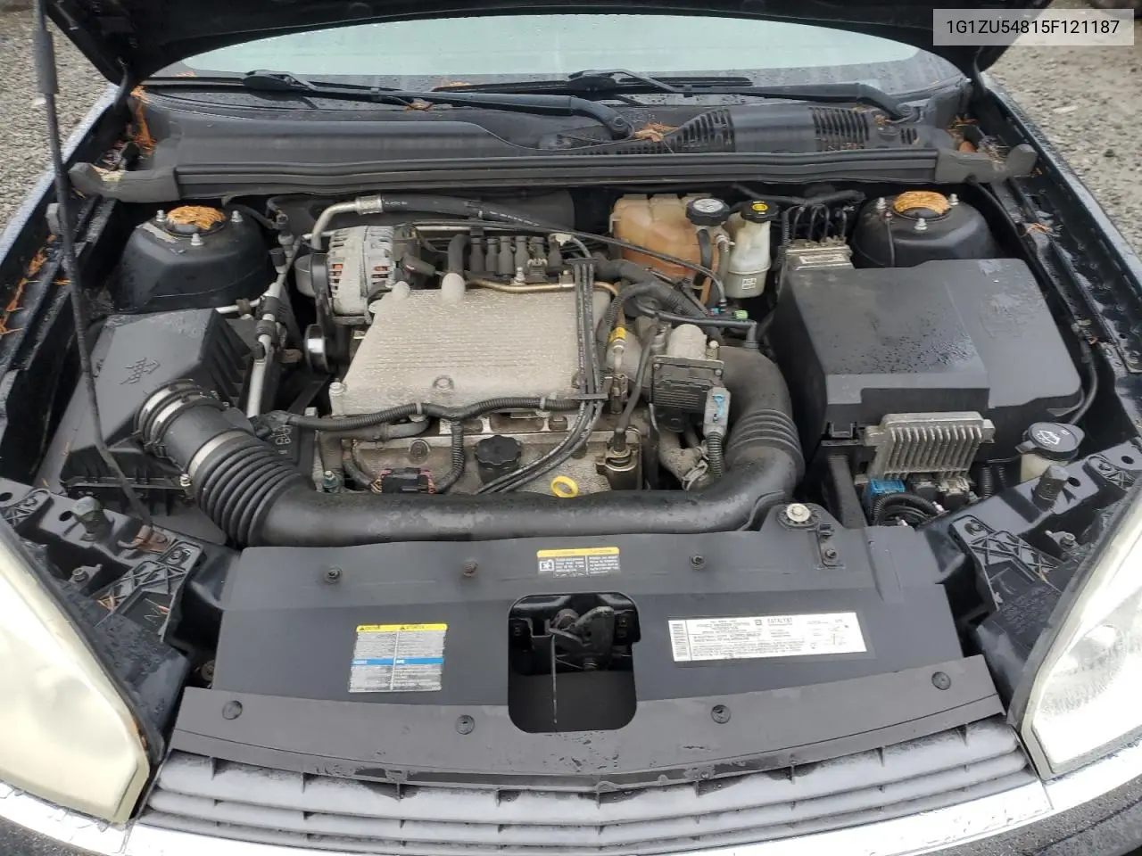 1G1ZU54815F121187 2005 Chevrolet Malibu Lt