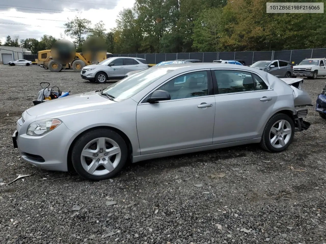 1G1ZB5E19BF216065 2011 Chevrolet Malibu 4D