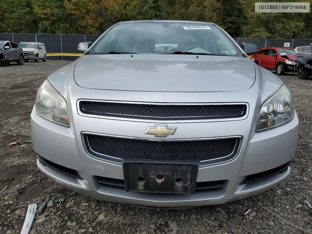 1G1ZB5E19BF216065 2011 Chevrolet Malibu 4D