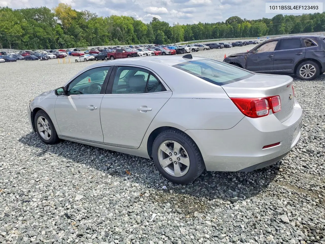 2014 Chevrolet Malibu Ls VIN: 1G11B5SL4EF123493 Lot: 61289496