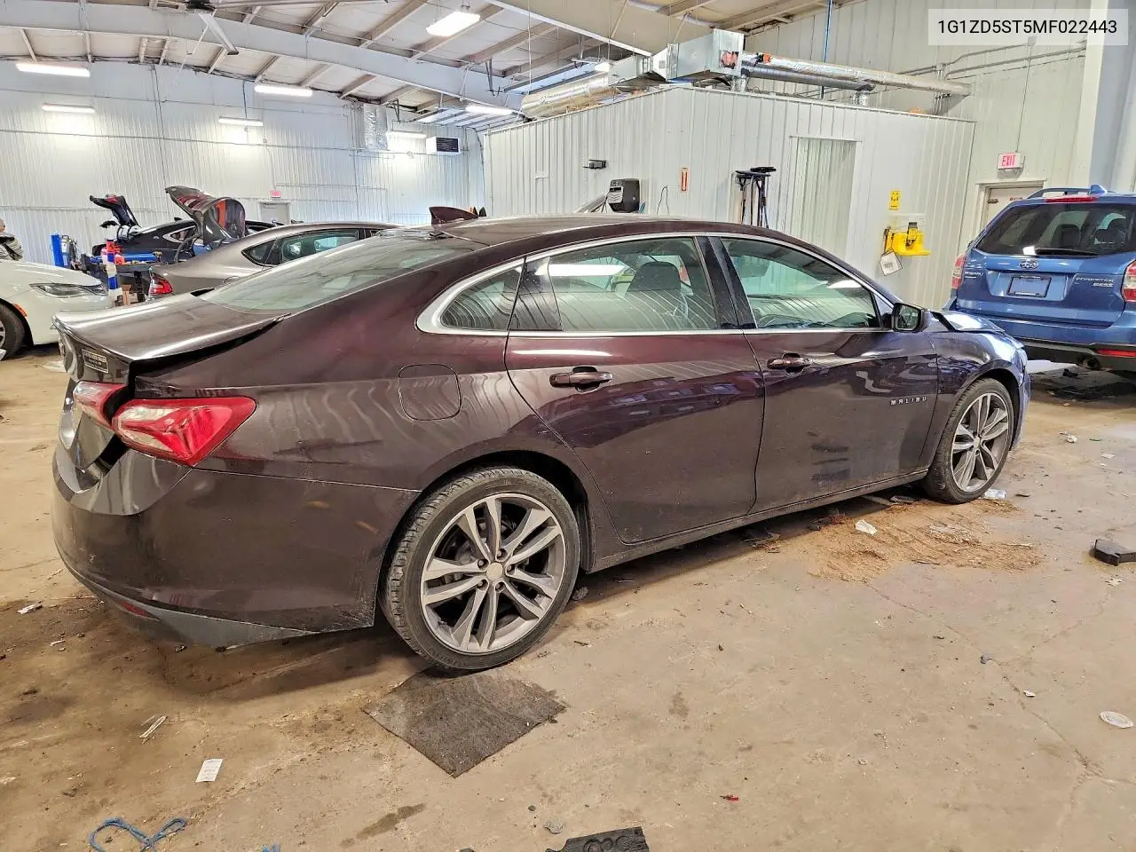 2021 Chevrolet Malibu Lt VIN: 1G1ZD5ST5MF022443 Lot: 61310686