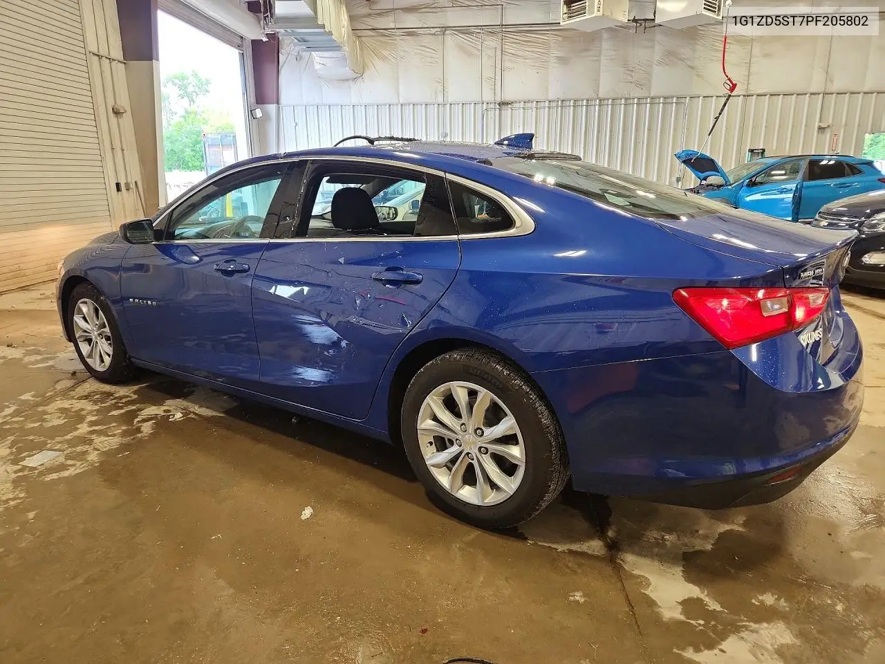 2023 Chevrolet Malibu Lt VIN: 1G1ZD5ST7PF205802 Lot: 57015366
