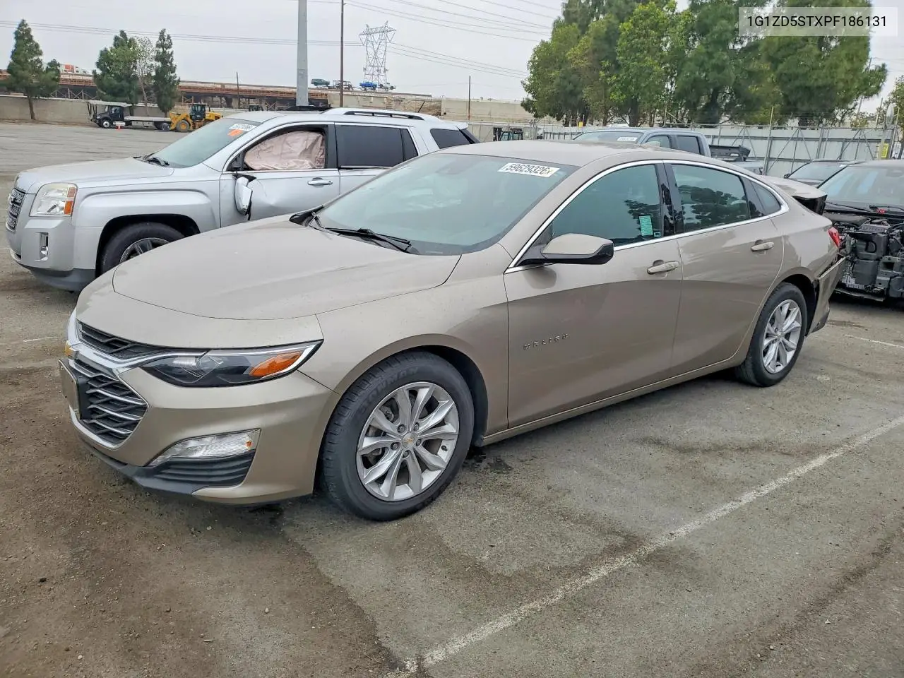 2023 Chevrolet Malibu Lt VIN: 1G1ZD5STXPF186131 Lot: 59629326
