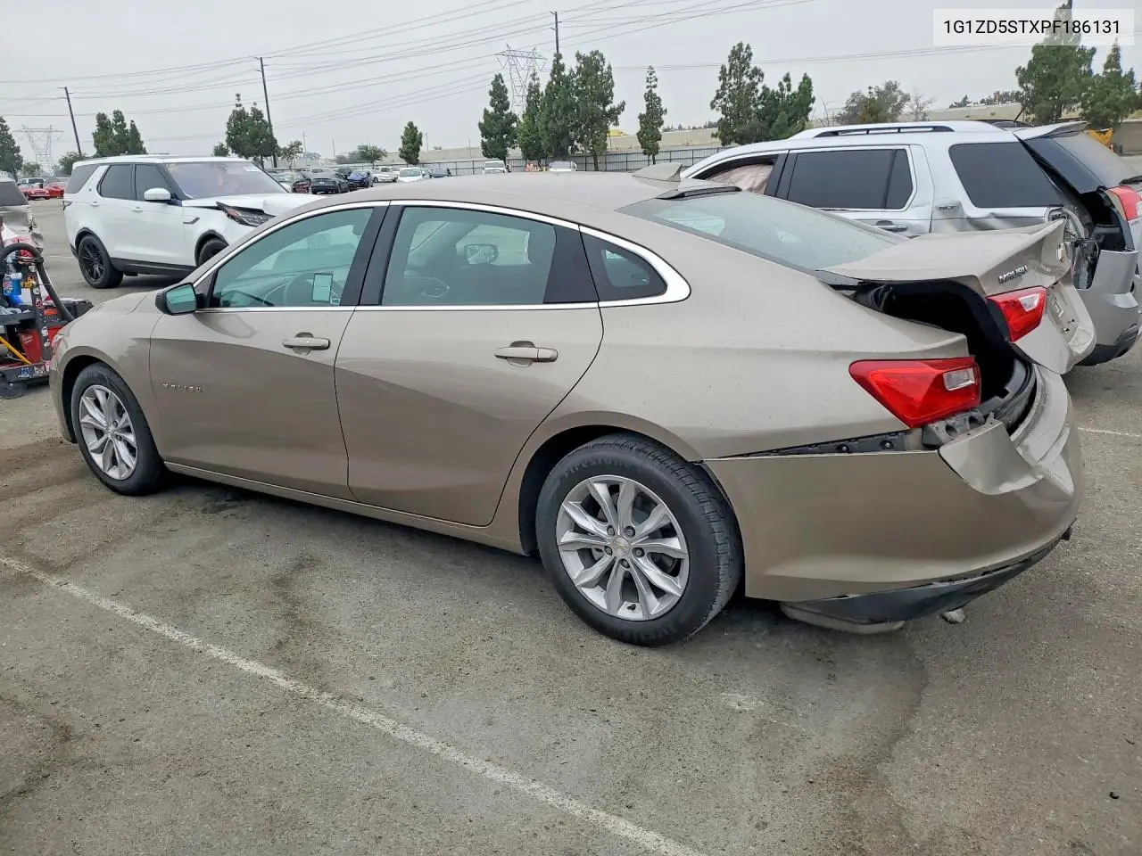 2023 Chevrolet Malibu Lt VIN: 1G1ZD5STXPF186131 Lot: 59629326