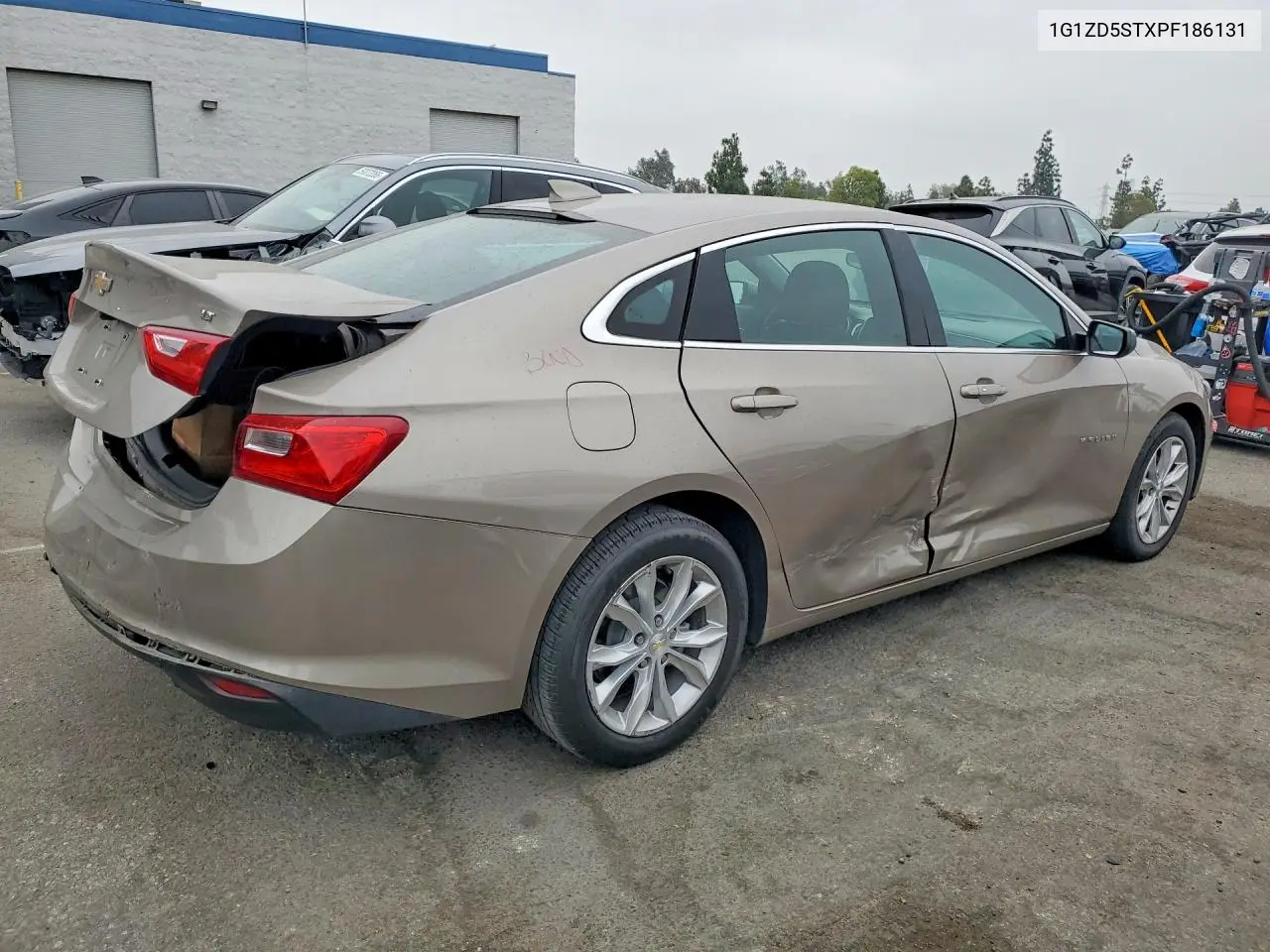 2023 Chevrolet Malibu Lt VIN: 1G1ZD5STXPF186131 Lot: 59629326