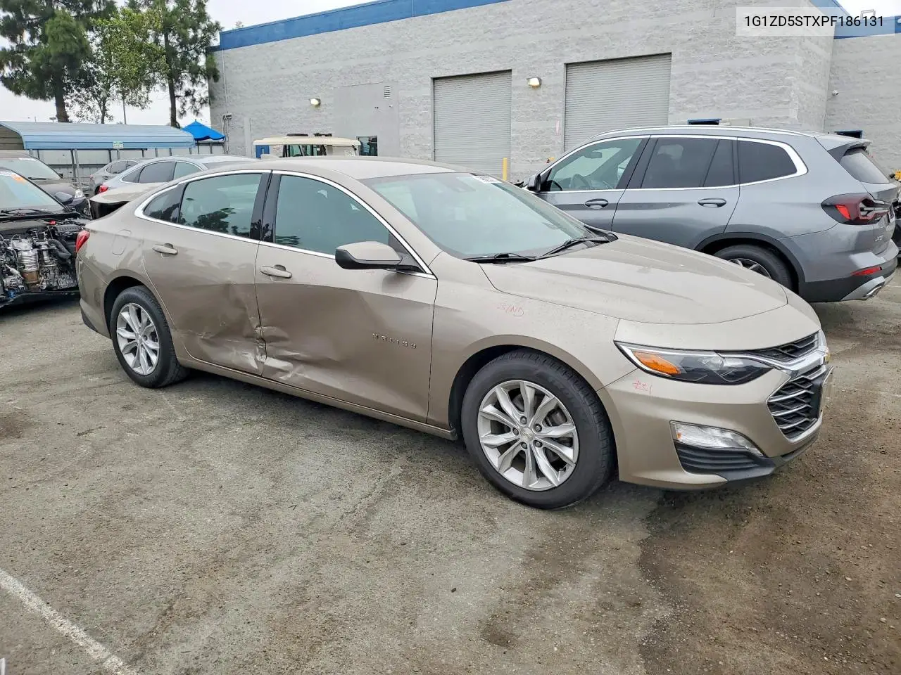 2023 Chevrolet Malibu Lt VIN: 1G1ZD5STXPF186131 Lot: 59629326