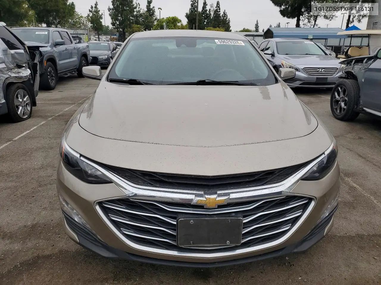 2023 Chevrolet Malibu Lt VIN: 1G1ZD5STXPF186131 Lot: 59629326