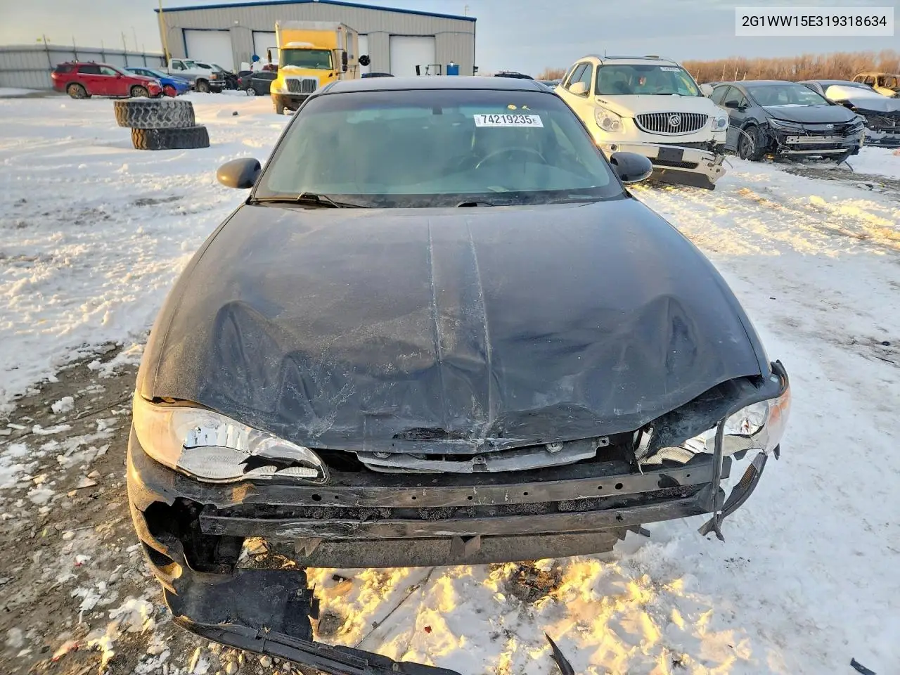 2001 Chevrolet Monte Carlo Ls VIN: 2G1WW15E319318634 Lot: 74219235