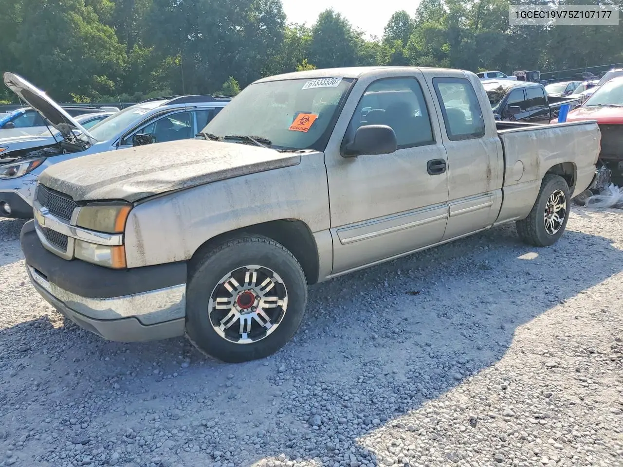 2005 Chevrolet Silverado C1500 VIN: 1GCEC19V75Z107177 Lot: 61333336