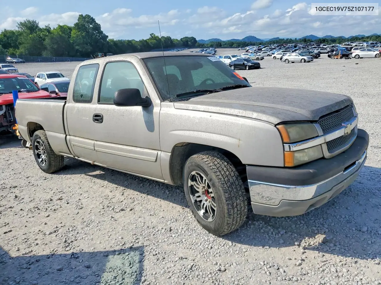 2005 Chevrolet Silverado C1500 VIN: 1GCEC19V75Z107177 Lot: 61333336