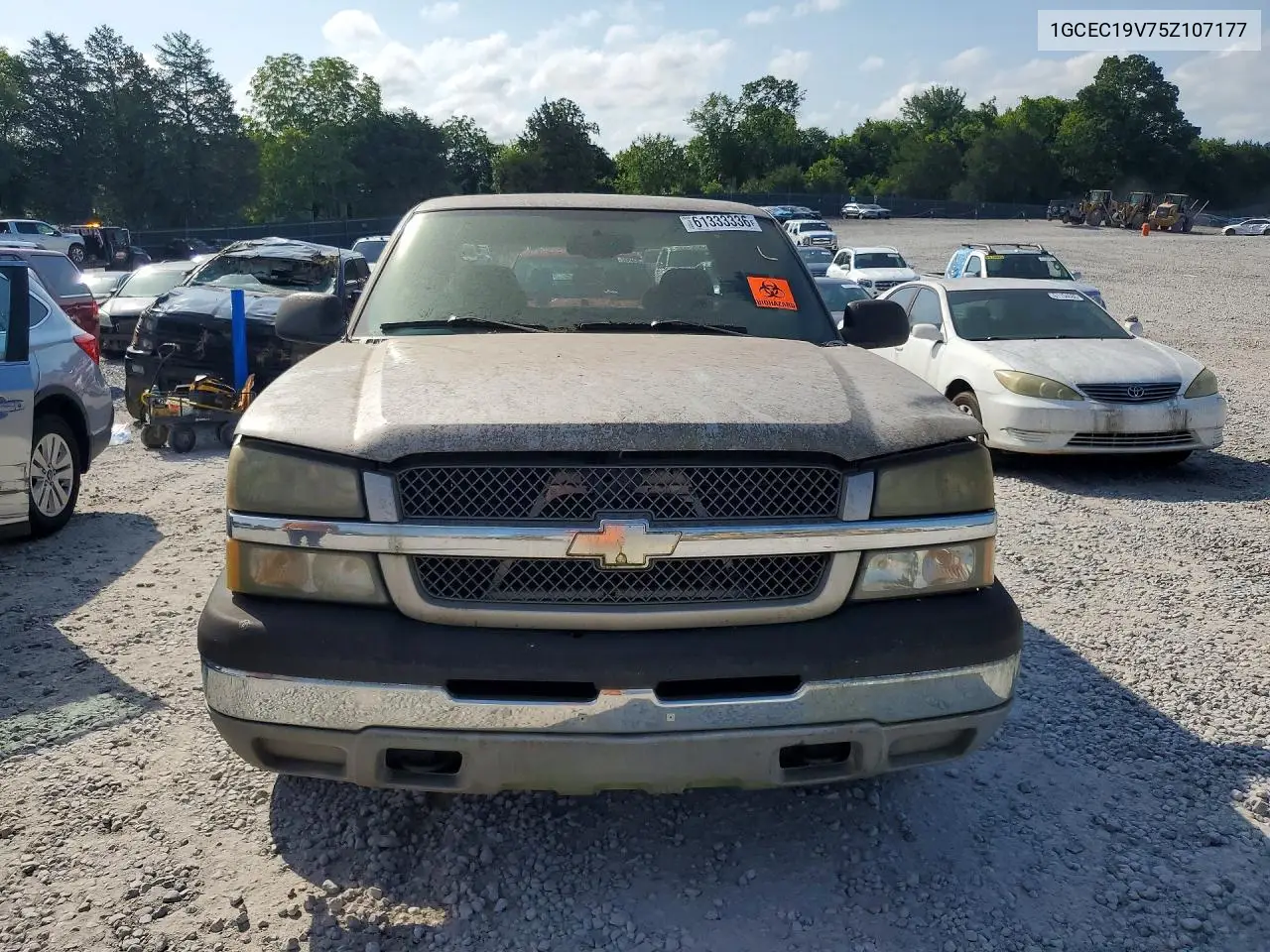 2005 Chevrolet Silverado C1500 VIN: 1GCEC19V75Z107177 Lot: 61333336