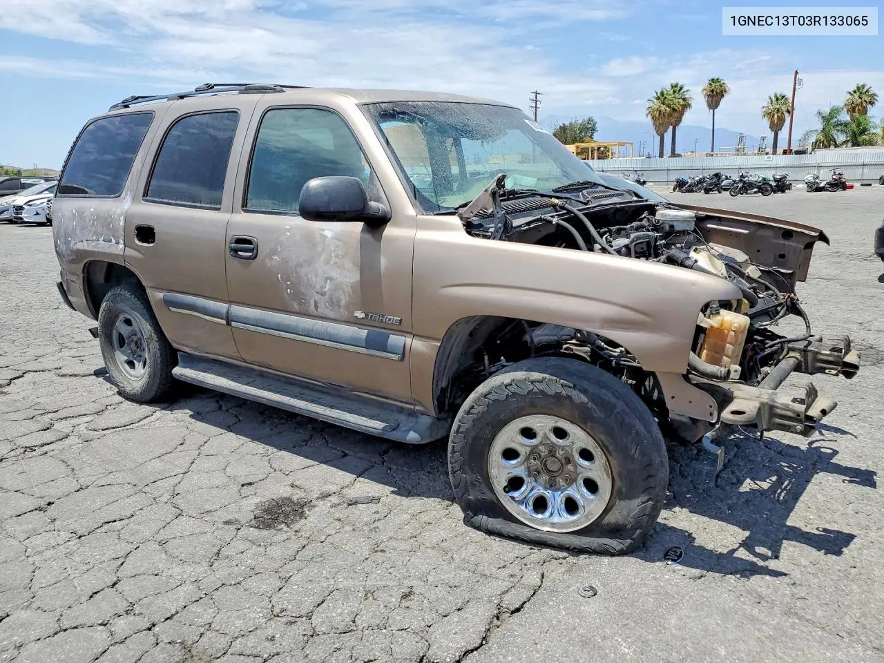 2003 Chevrolet Tahoe C1500 VIN: 1GNEC13T03R133065 Lot: 60834876